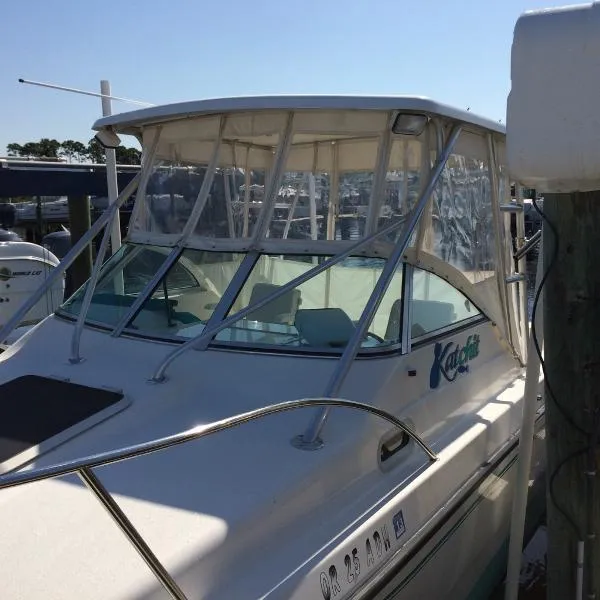 Slide: The Image of Kevlacat 2001 - 4