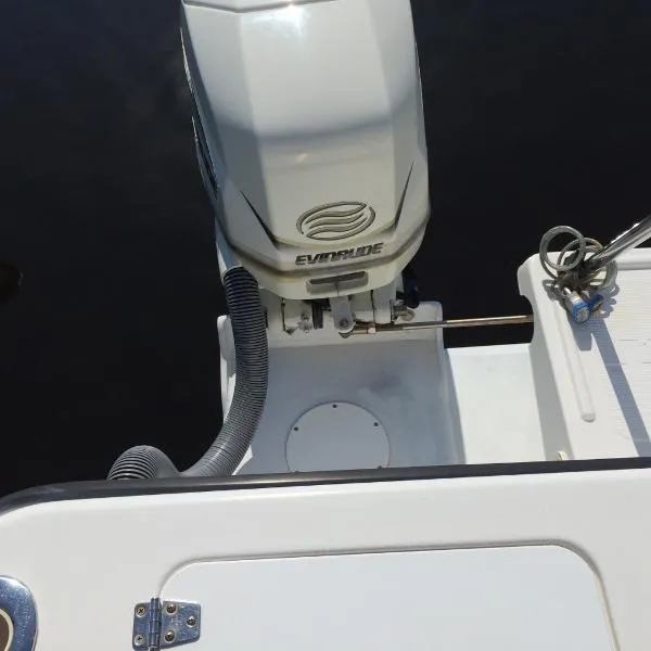 Slide: The Image of Kevlacat 2001 - 5