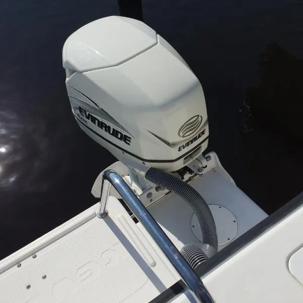 Slide: The Image of Kevlacat 2001 - 6