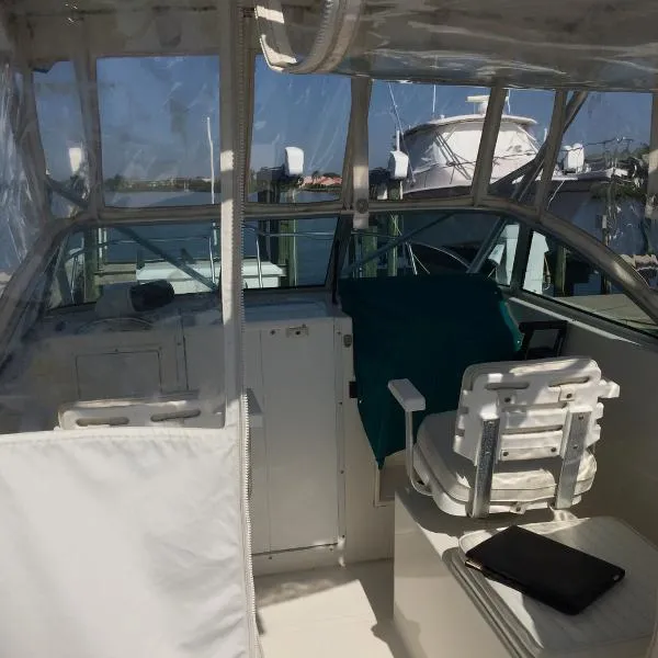 Slide: The Image of Kevlacat 2001 - 7