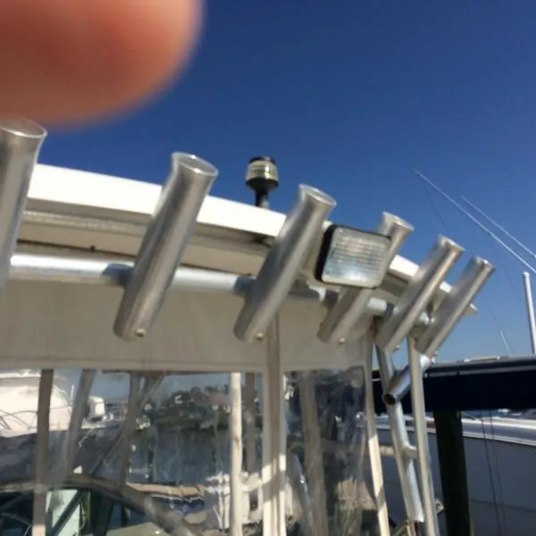 Slide: The Image of Kevlacat 2001 - 9