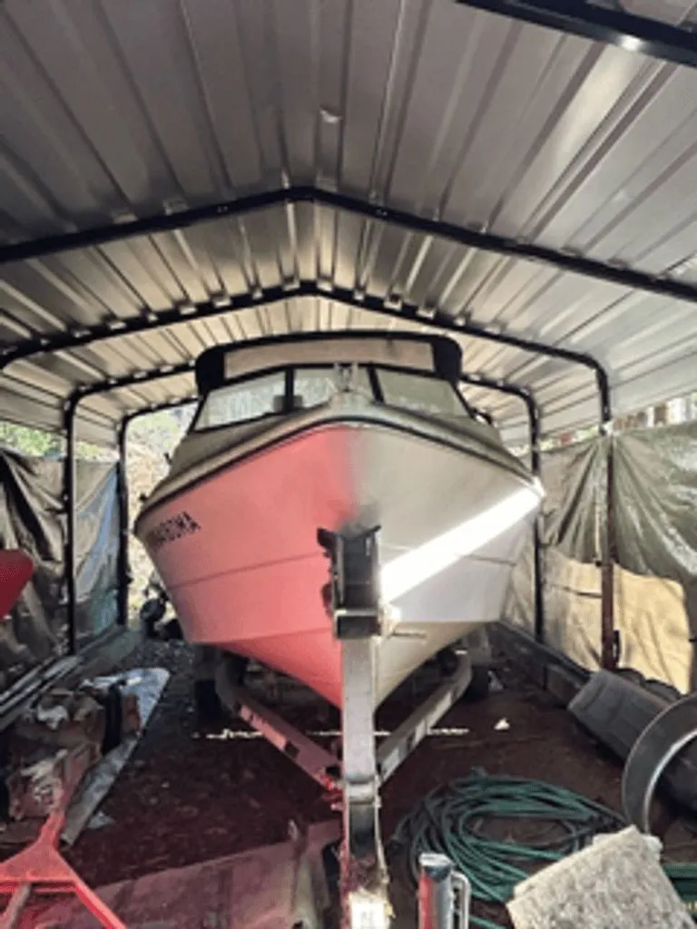 The Image of Amira Explorer 1990 - 0