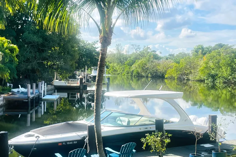 Slide: The Image of 2017 Regal 33 OBX boat docked by a serene, lush riverside. - 2