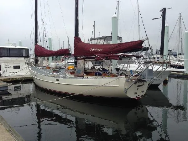 Slide: The Image of Freedom Cat Ketch 1982 - 0