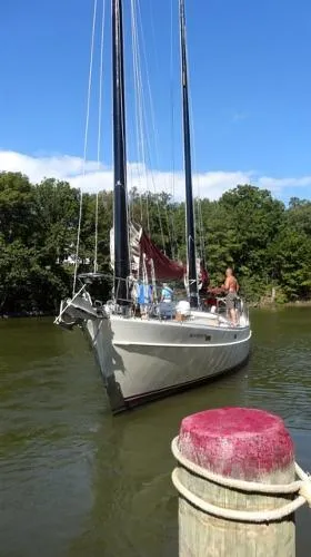 Slide: The Image of Freedom Cat Ketch 1982 - 1