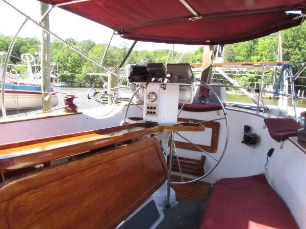 Slide: The Image of Freedom Cat Ketch 1982 - 10