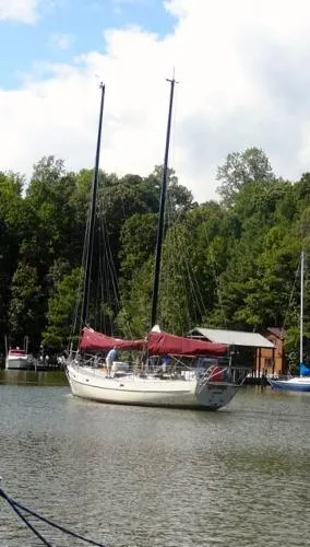Slide: The Image of Freedom Cat Ketch 1982 - 2