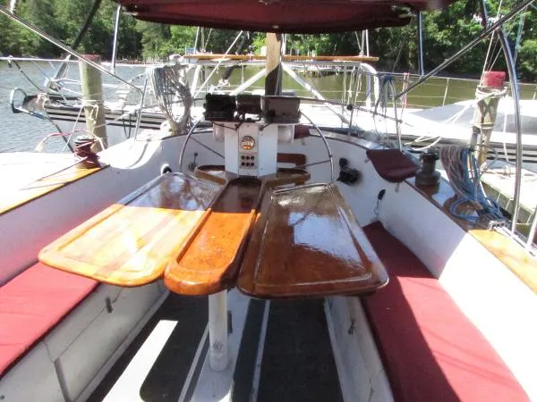 Slide: The Image of Freedom Cat Ketch 1982 - 6