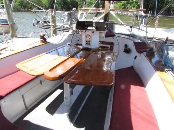 Slide: The Image of Freedom Cat Ketch 1982 - 7