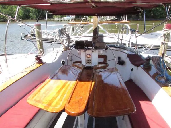 Slide: The Image of Freedom Cat Ketch 1982 - 8