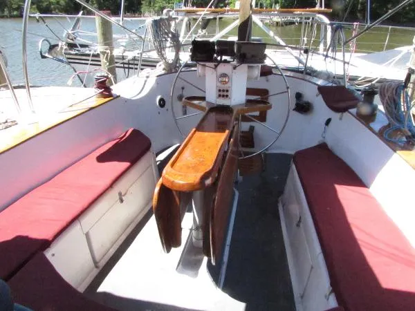 Slide: The Image of Freedom Cat Ketch 1982 - 9