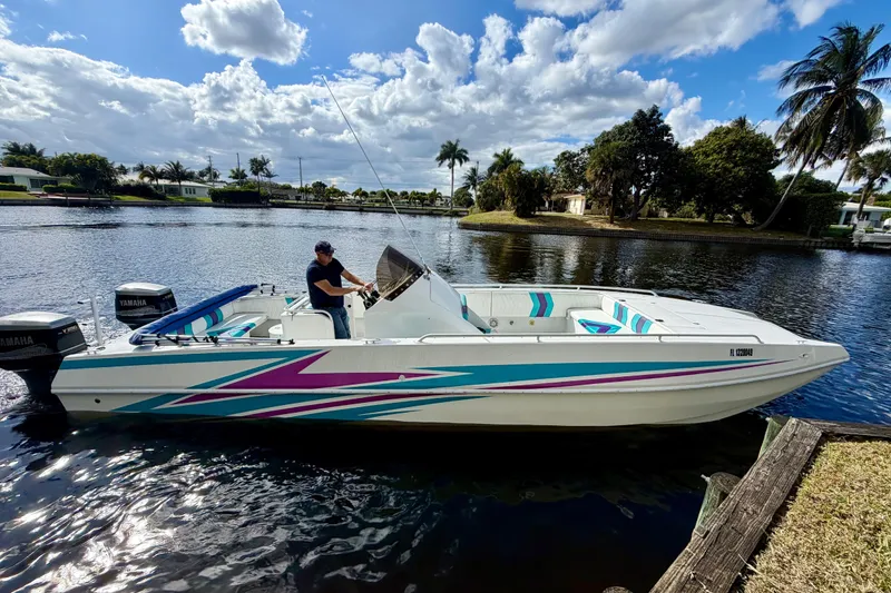 Slide: The Image of 2001 Cobra Predator 3100 boat on a scenic waterway with vibrant graphics. - 21