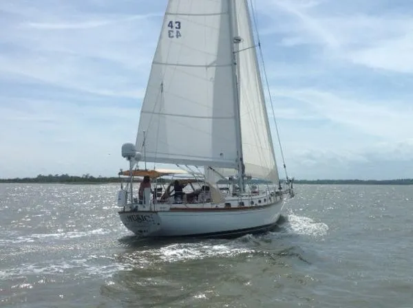 Slide: The Image of Shannon 43 Cutter 1998 - 1