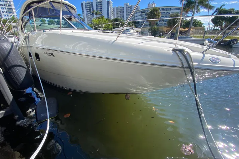 Slide: The Image of 2008 Sea Ray Sundancer 330 docked, with cityscape and palm trees in the background. - 9