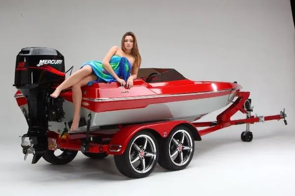 Slide: The Image of dirty bird Original Hull, never titled 2010 - 0