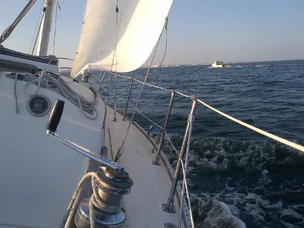 Slide: The Image of Sabre Sloop 1981 - 9