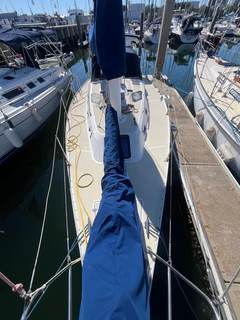 Slide: The Image of Freedom 35 1994 - 16