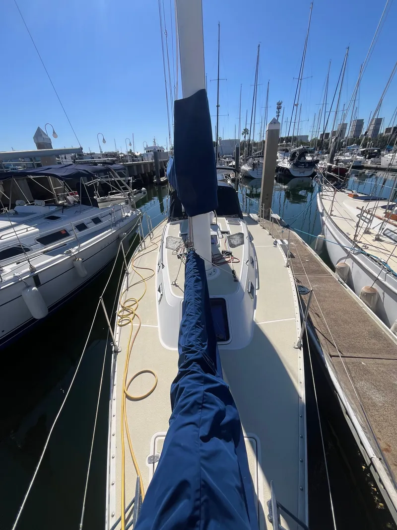 Slide: The Image of Freedom 35 1994 - 17