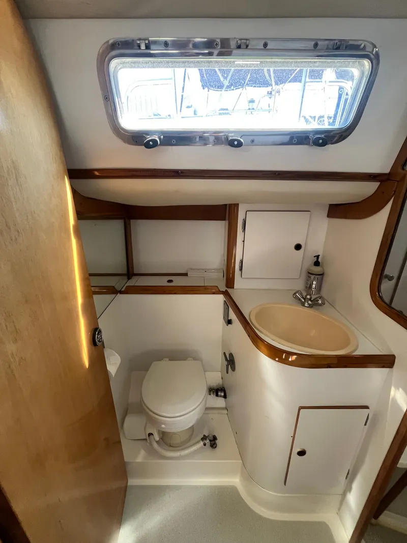 Slide: The Image of Freedom 35 1994 - 33