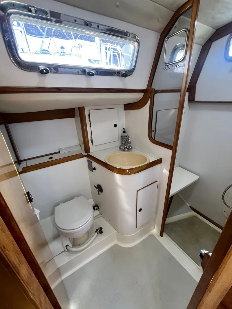 Slide: The Image of Freedom 35 1994 - 51