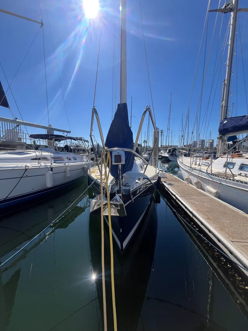 Slide: The Image of Freedom 35 1994 - 55