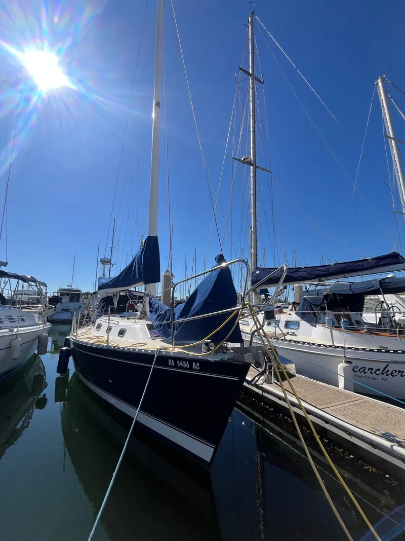 Slide: The Image of Freedom 35 1994 - 56