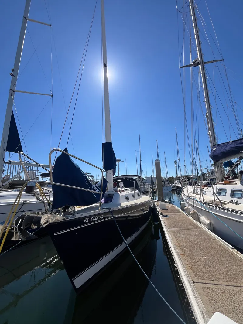 Slide: The Image of Freedom 35 1994 - 57