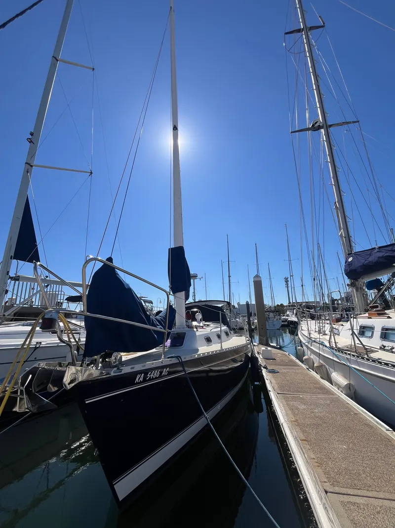 Slide: The Image of Freedom 35 1994 - 58