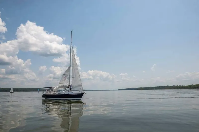 Slide: The Image of Freedom 35 1994 - 6