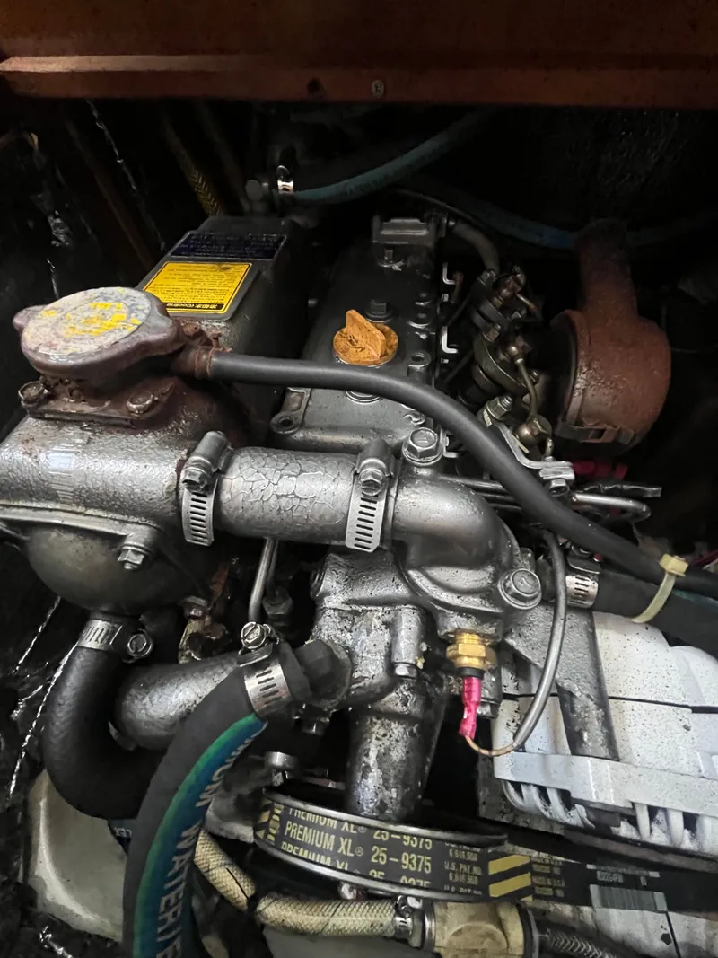 Slide: The Image of Freedom 35 1994 - 60