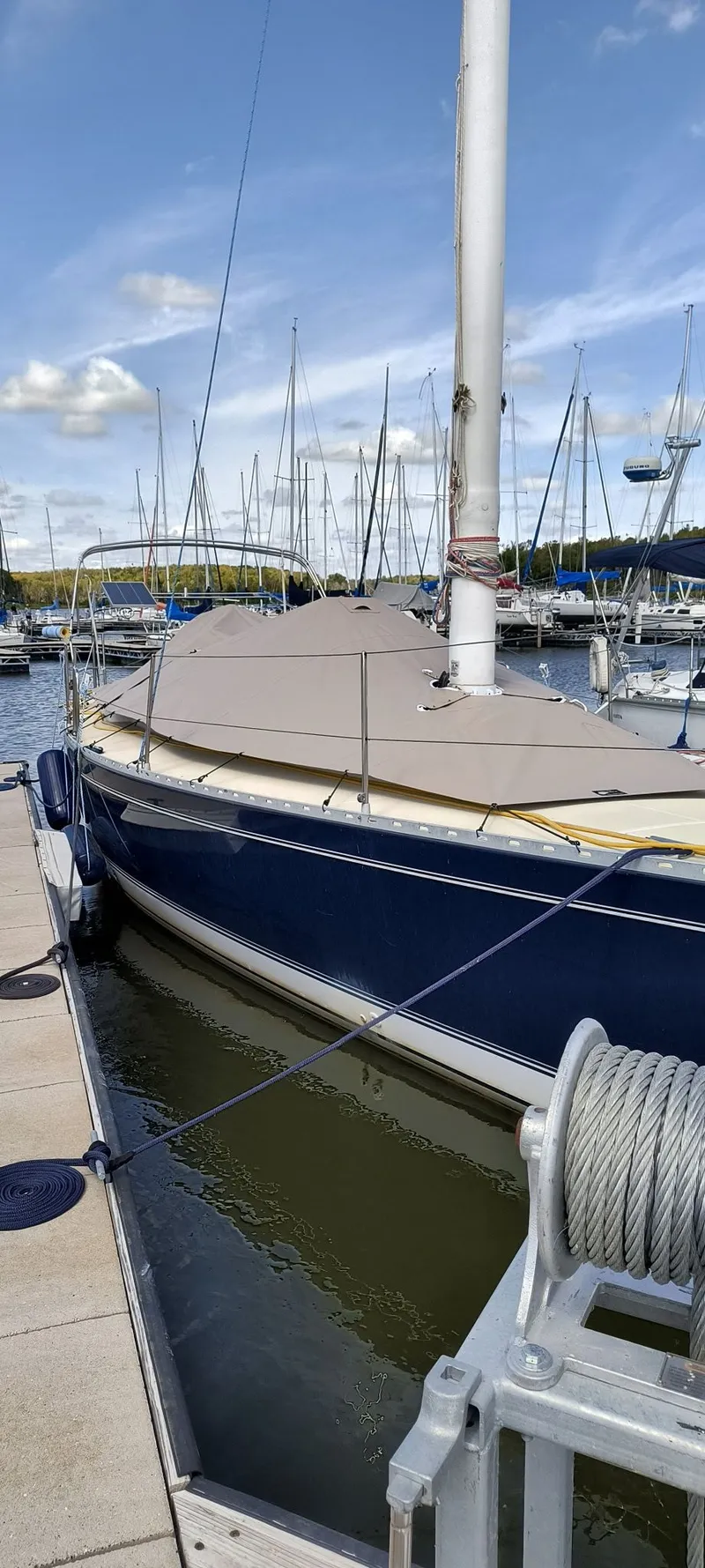 Slide: The Image of Freedom 35 1994 - 8