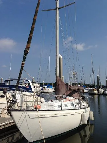 Slide: The Image of Rival Sloop 1979 - 0