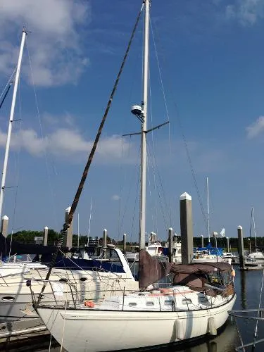 Slide: The Image of Rival Sloop 1979 - 2
