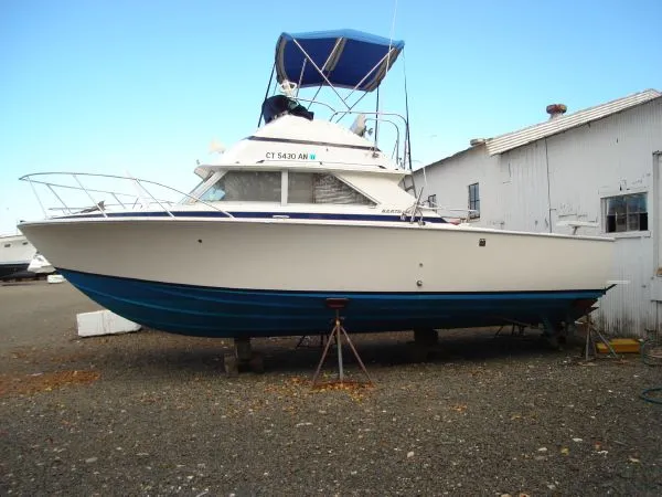 Slide: The Image of Bertram 28 Sport Fisherman 1977 - 0