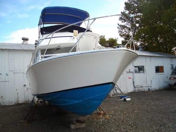 Slide: The Image of Bertram 28 Sport Fisherman 1977 - 1