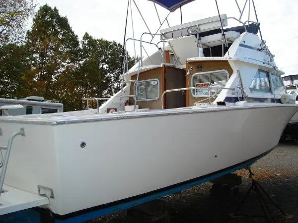 Slide: The Image of Bertram 28 Sport Fisherman 1977 - 3