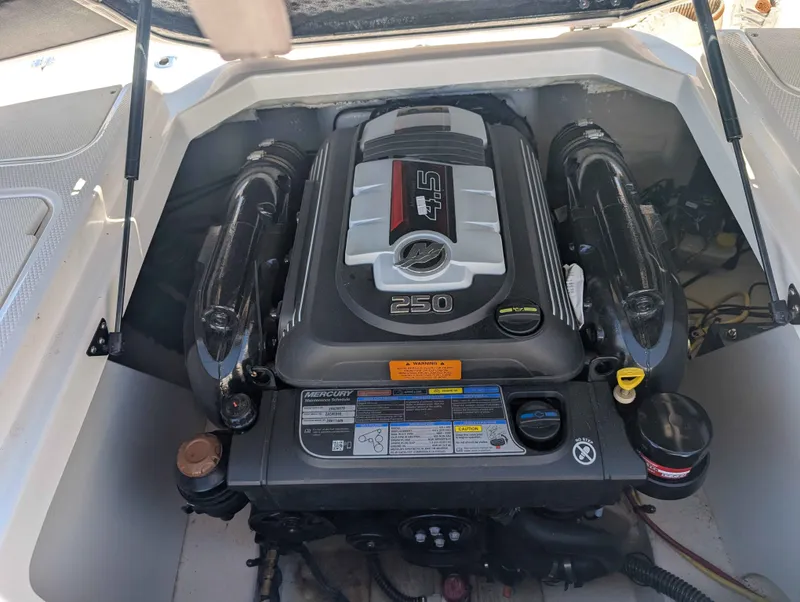 Slide: The Image of Chaparral 21 H2O Sport 2019 - 5