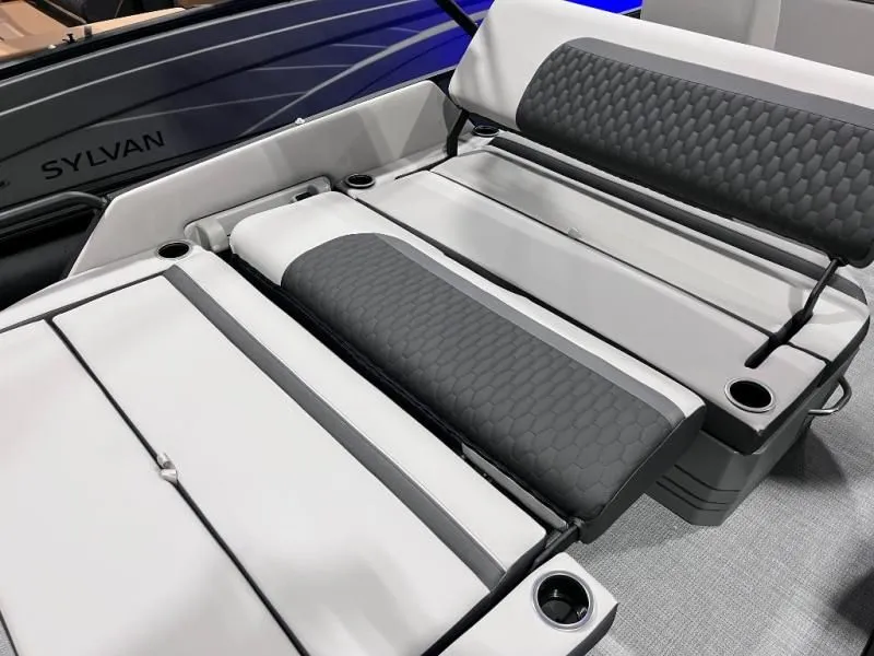 Slide: The Image of Sylvan DLZ 2026 - 24