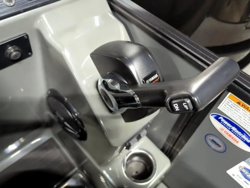 Slide: The Image of Sylvan CLZ DH 2026 - 12