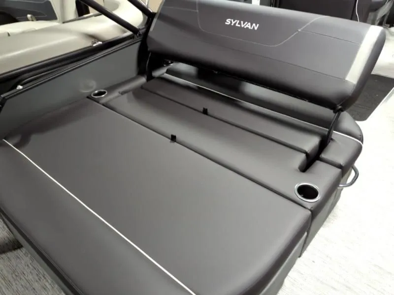 Slide: The Image of Sylvan CLZ DH 2026 - 5