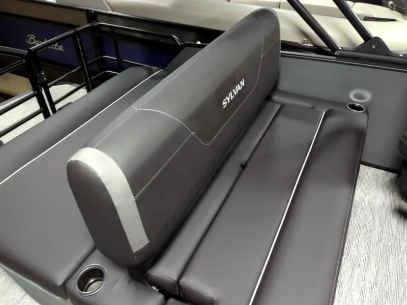 Slide: The Image of Sylvan CLZ DH 2026 - 6