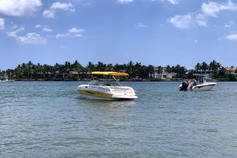 Slide: The Image of 2006 Chaparral Sunesta 236 boat rear view with propeller and ladder. - 4
