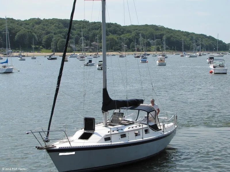 Slide: The Image of Watkins Sea Wolf 30 1988 - 7