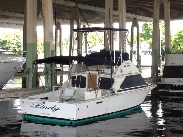 Slide: The Image of Bertram Sport Fisherman 1972 - 1