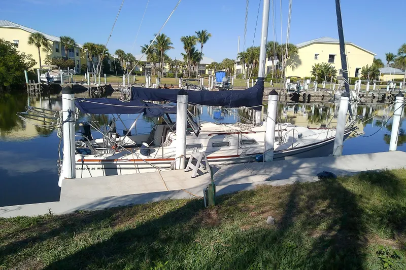 The Image of 1988 Pearson 36-2 sailboat docked in a sunny marina with palm trees. - 0