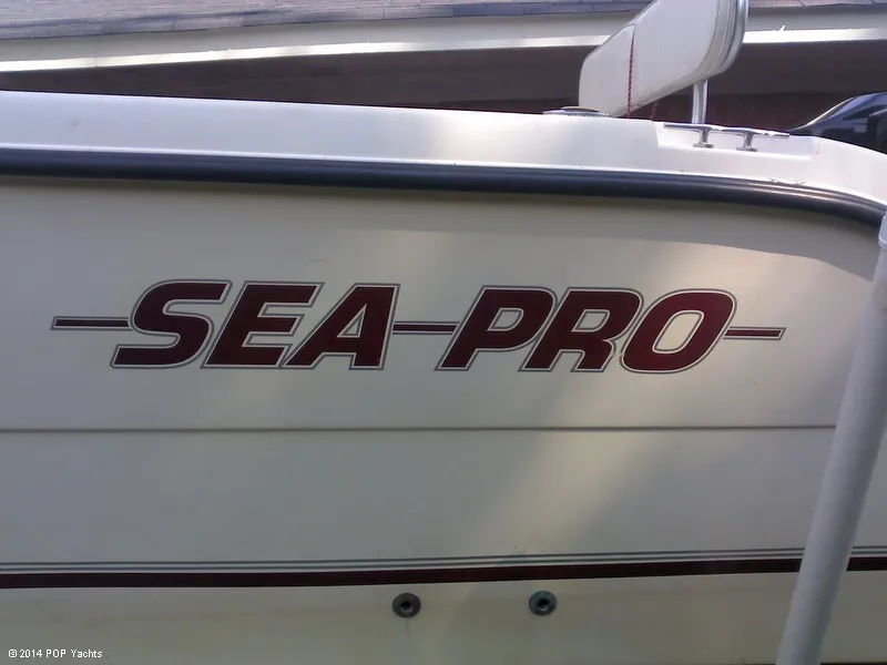 Slide: The Image of Sea Pro 255 WA 1999 - 4