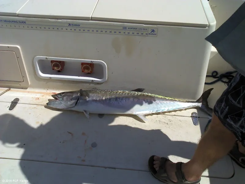 Slide: The Image of Sea Pro 255 WA 1999 - 5