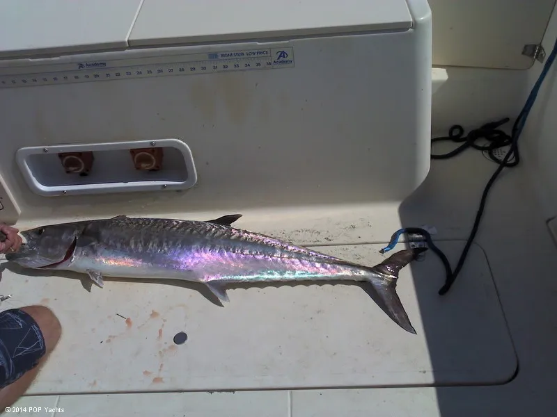 Slide: The Image of Sea Pro 255 WA 1999 - 6