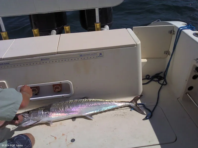 Slide: The Image of Sea Pro 255 WA 1999 - 7