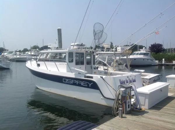 Slide: The Image of OSPREY 30 Long Cabin 2003 - 1